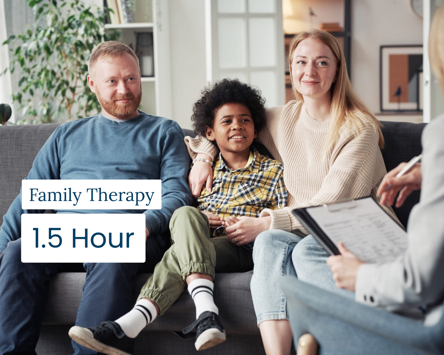 1.5 Hour Family Therapy (Zoom)
